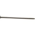 Pro-Fit Common Nail, 2-1/2 in L, 8D, Steel, Electro Galvanized Finish 131158